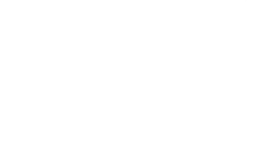vrunk logo white